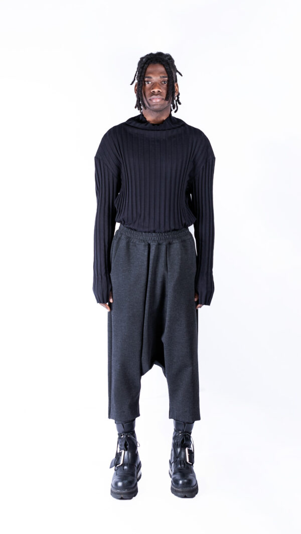 Drop Crotch Pants with Pleats