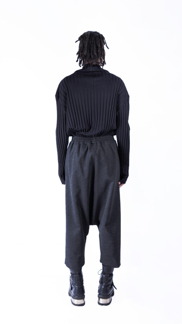 Drop Crotch Pants with Pleats - Image 4